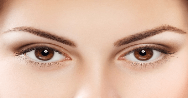 Mắt hai mí là dáng mắt phổ biến nhất