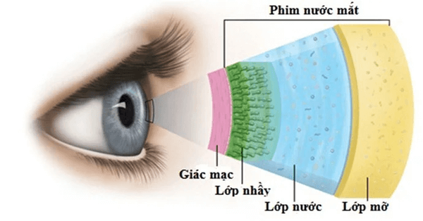 Bệnh khô mắt xảy ra khá thường xuyên ở người cao tuổi