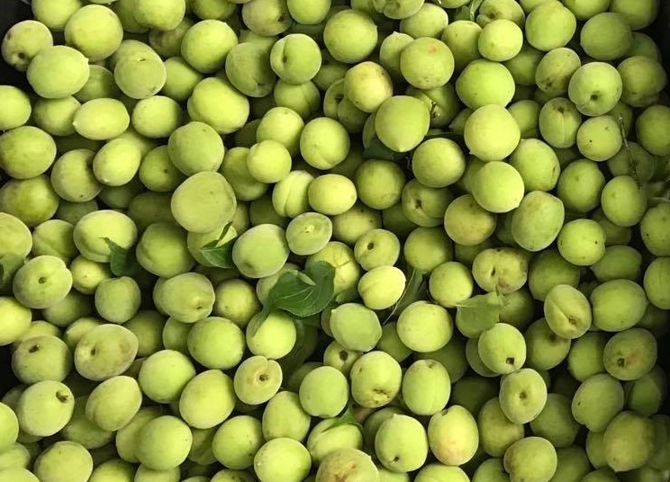 mơ chứa vitamin A, vitamin C và vitamin E